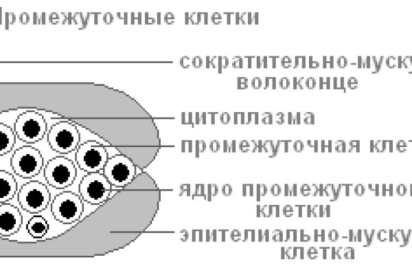 Зеркала на кракен kraken014 com