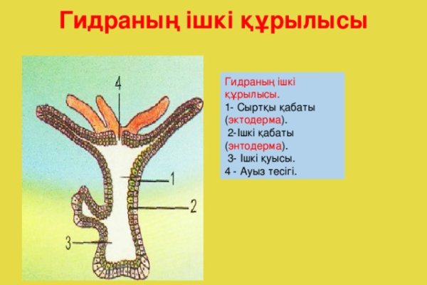 Kraken сайт krakens15 at