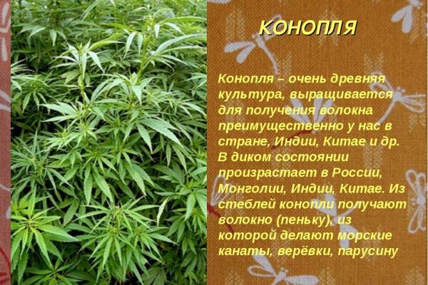 Что с кракеном сайт